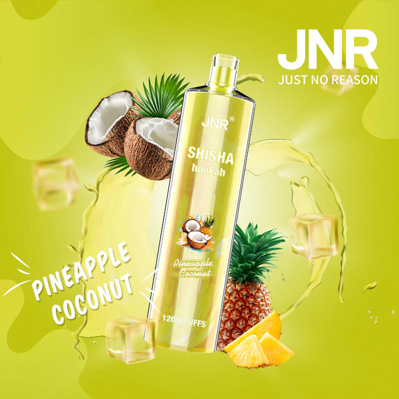 Pineapple Coconut đđ„„